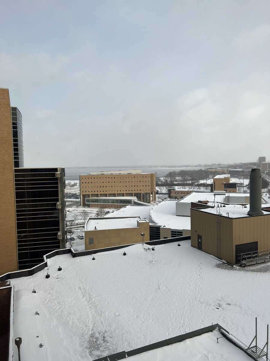 A frozen afternoon <a href="/UWHealth/">UW Health</a> and <a href="/uw_neurosurgery/">UW Neurosurgery</a>