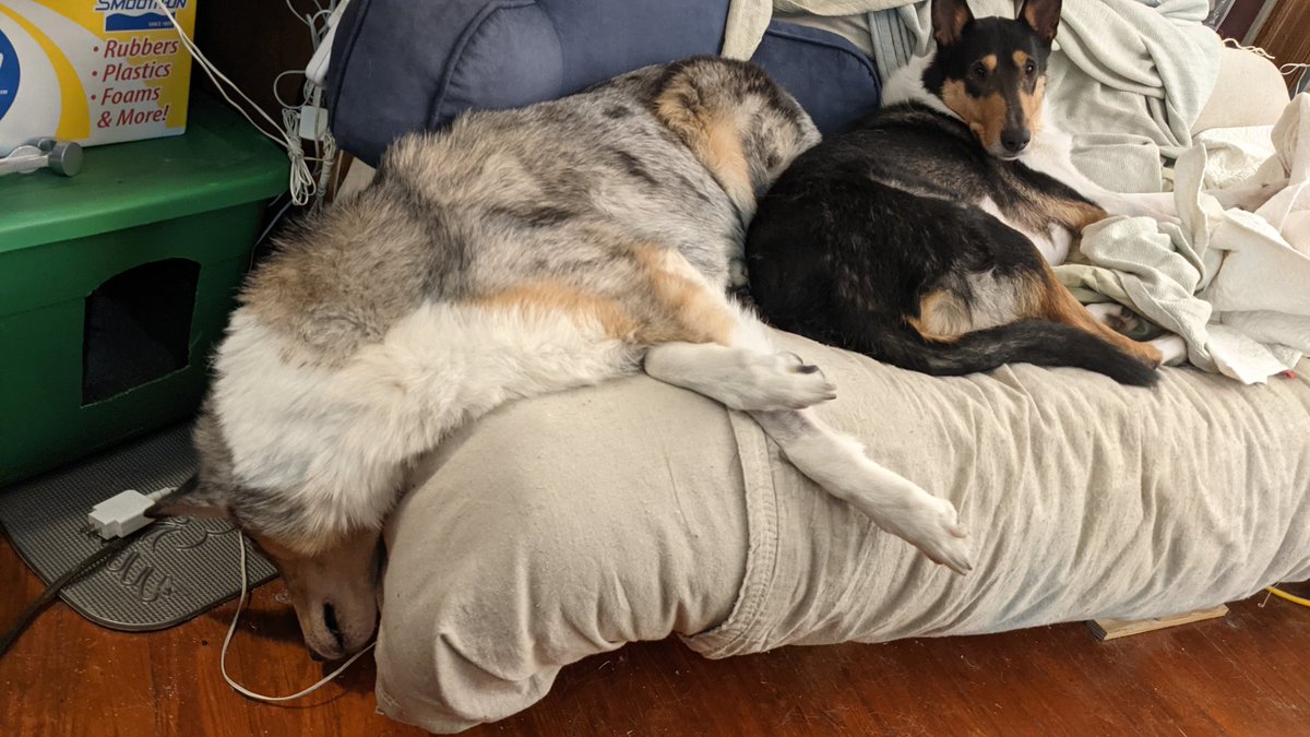 Ladies and gentlemen, goblins and kobolds, unbound eternal and earthly corporeals I give you:

My dogs. Oberon never did know how to sleep on a bed but this is spectacular even for him.