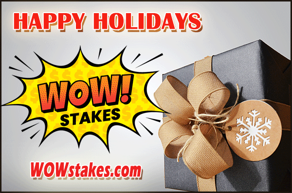 Happy Holidays from WOWstakes!
Keep entering to #win our free #Sweepstakes #Giveaways: ow.ly/A5V050MbH3a