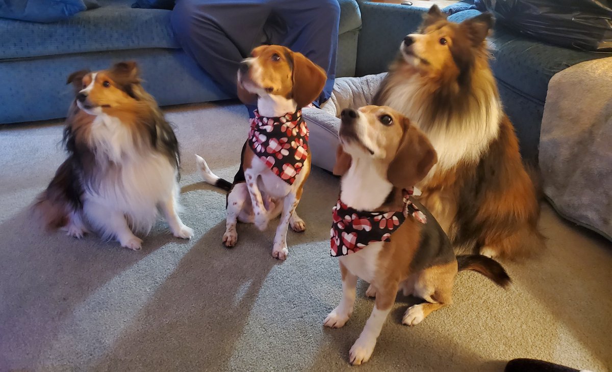 Phelps Veterinary Hospital tweet media