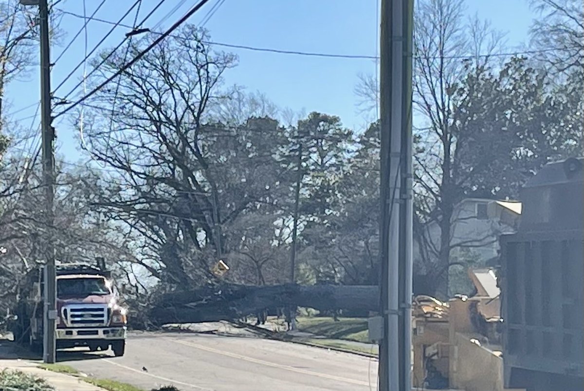 Elizabeth Robinson tweet media