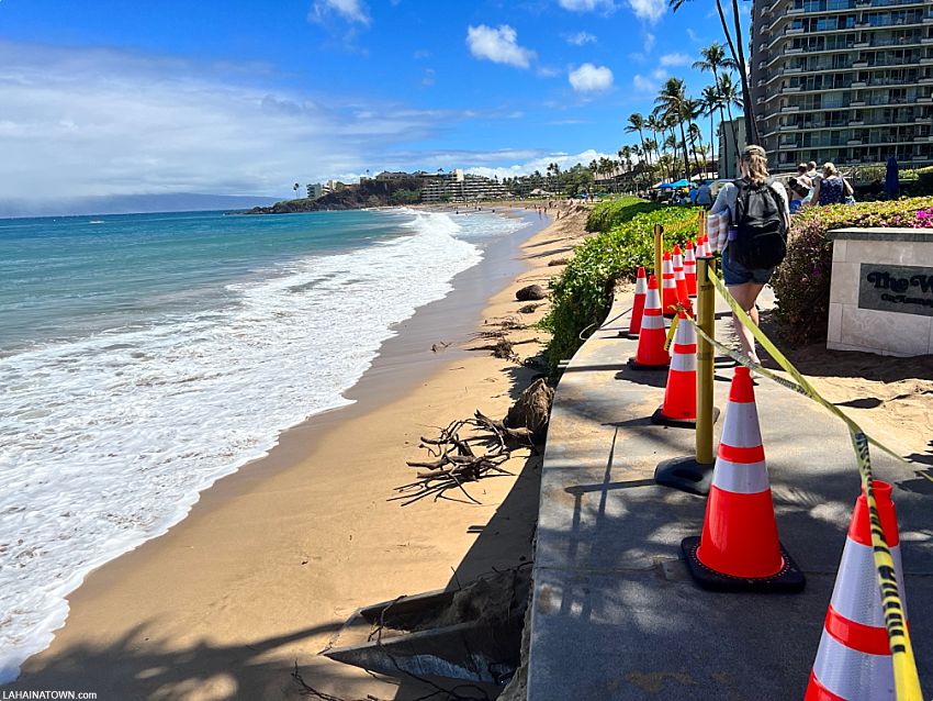 Maui Hawaii tweet media