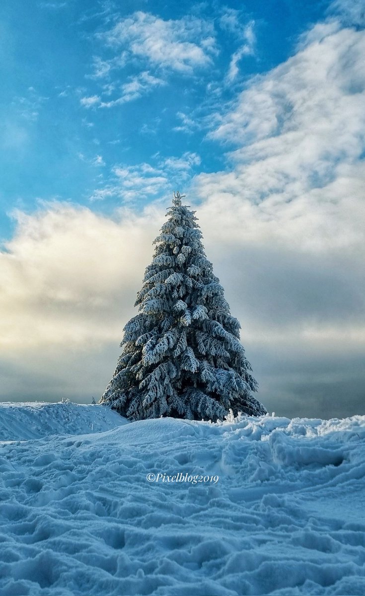 pixelblog2019's tweet photo. Meine lieben ✌️
Ich mache es einfach, kurz und bündig.....

Ich wünsche euch allen ein frohes und besinnliches Weihnachtsfest mit euren Familien und Partnern. Habt eine schöne Zeit mit euren lieben.

#merrychristmas #christmas #weihnachten #besinnlichezeit #besinnlich #family https://t.co/9LRCW8sNUZ