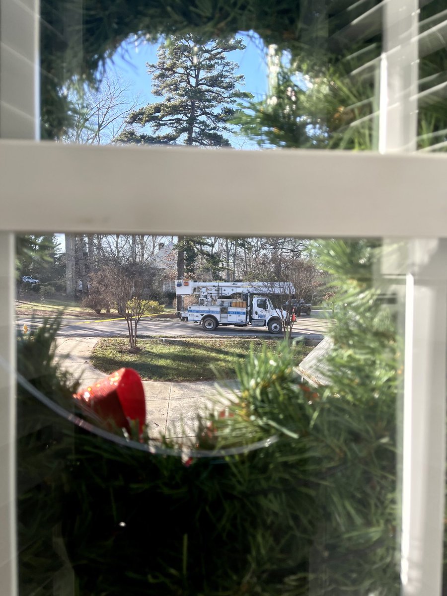 Elizabeth Robinson tweet media