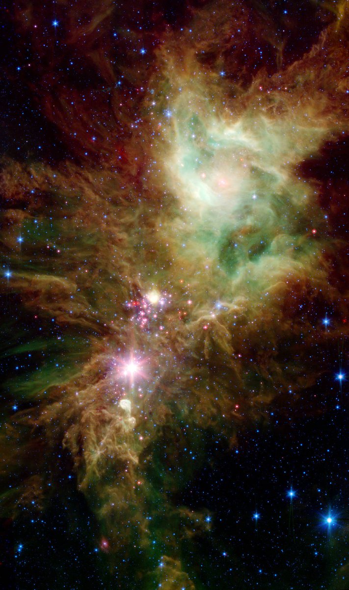 NASAExoplanets's tweet photo. 'Snowflakes' in the Christmas Cluster ❄️ 
Newborn stars glisten like snowflakes hidden in a great cloud of dust and gas, and revealed in infrared. As winter weather settles across the US, we hope you're warm and safe. https://t.co/X04KQv4d3n https://t.co/SqTqhFTywn