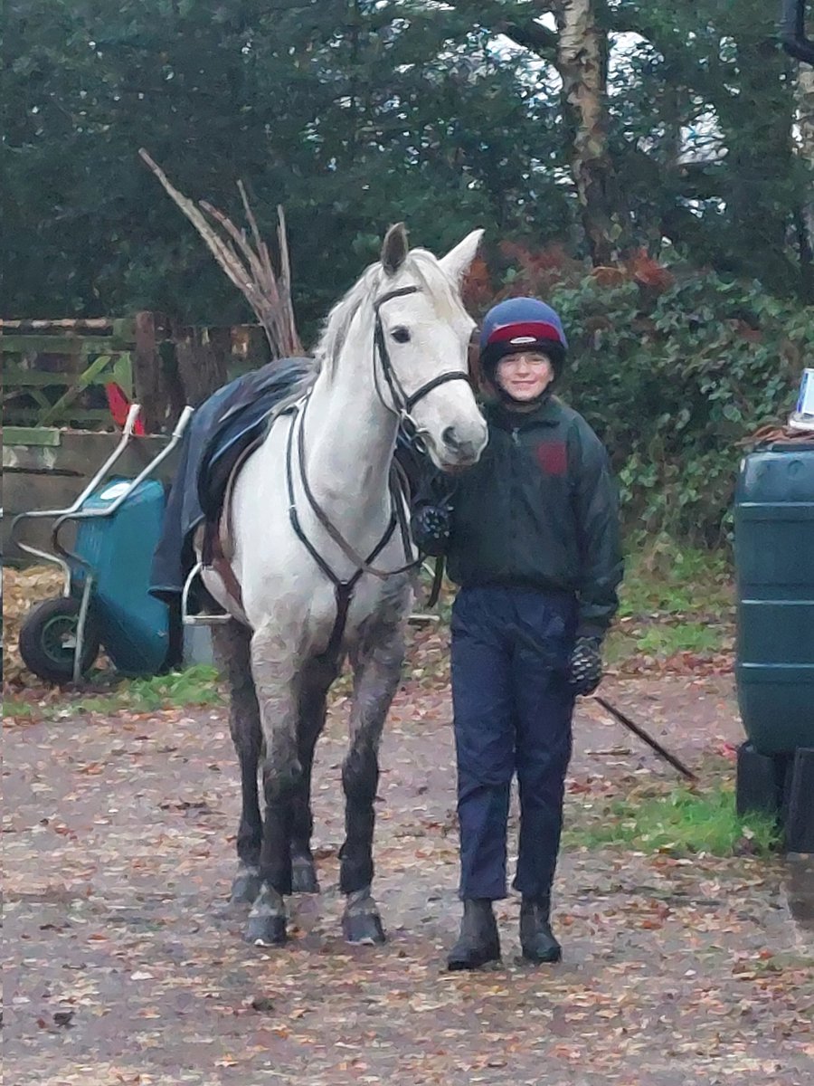 The New Forest Point to Point is the most significant cultural heritage event in the commoning year. A chance to celebrate New Forest ponies and test commoners' knowledge of the Forest and their horsemanship. (Short thread)
