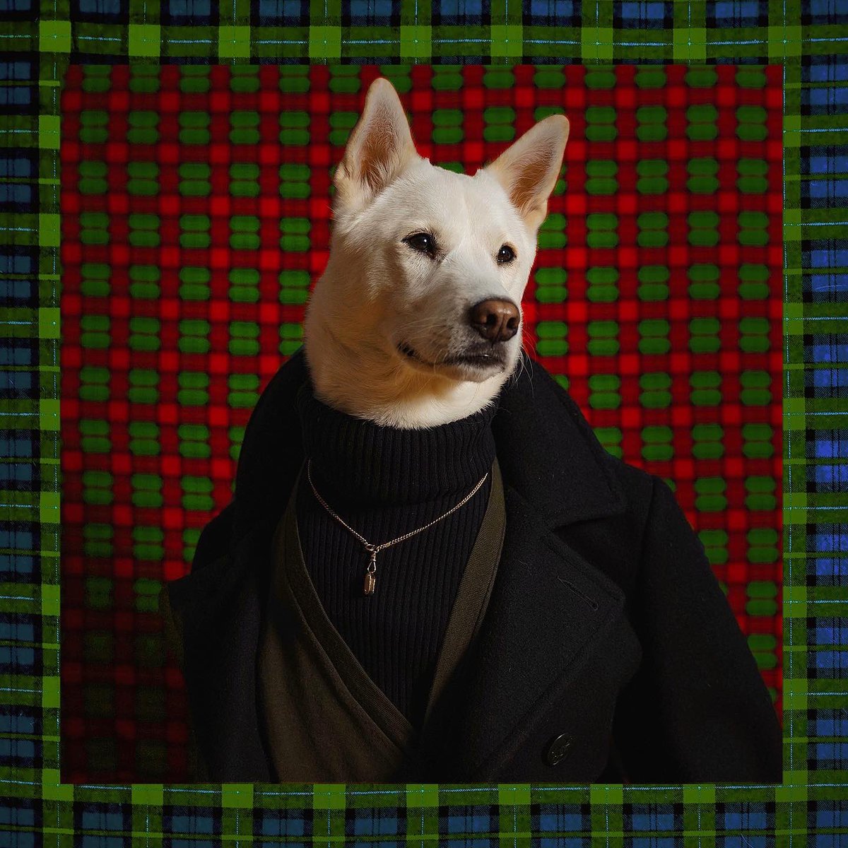 Festive fits ✔️
Holiday hits ✔️
Seasonal knits ✔️

Happy Holidays to every single one of you from Bodhi, Luc and team MWD &amp; thank you for a wonderful year 🎄🐾