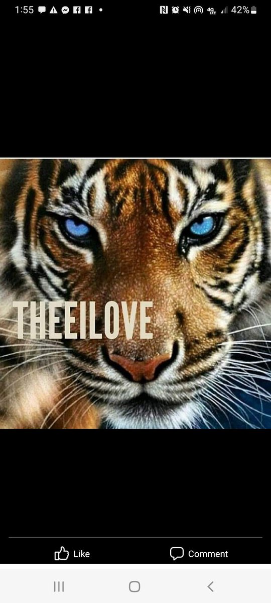 lmariehemphill's tweet photo. @_hodgesauce_ #JacksonState #WhynotaHBCU https://t.co/PmOvEosF6r
