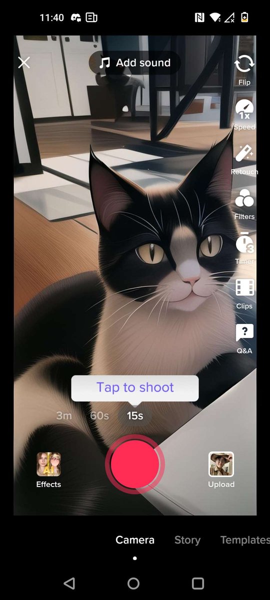 PRIDE/FRIGHTFUR (TEKKO 2025) tweet media