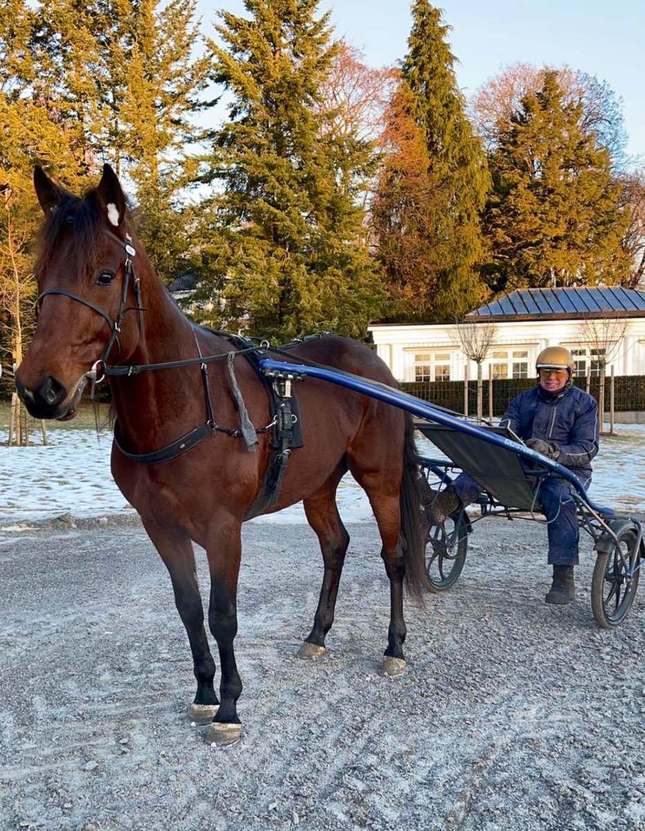 Pure Atlas 🇸🇪🏆