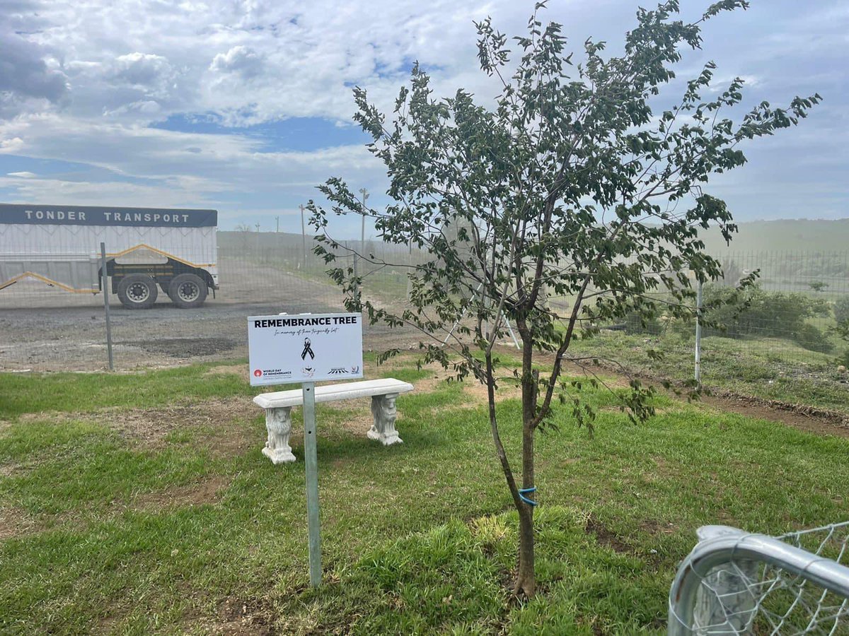 Dave Steele tweet media