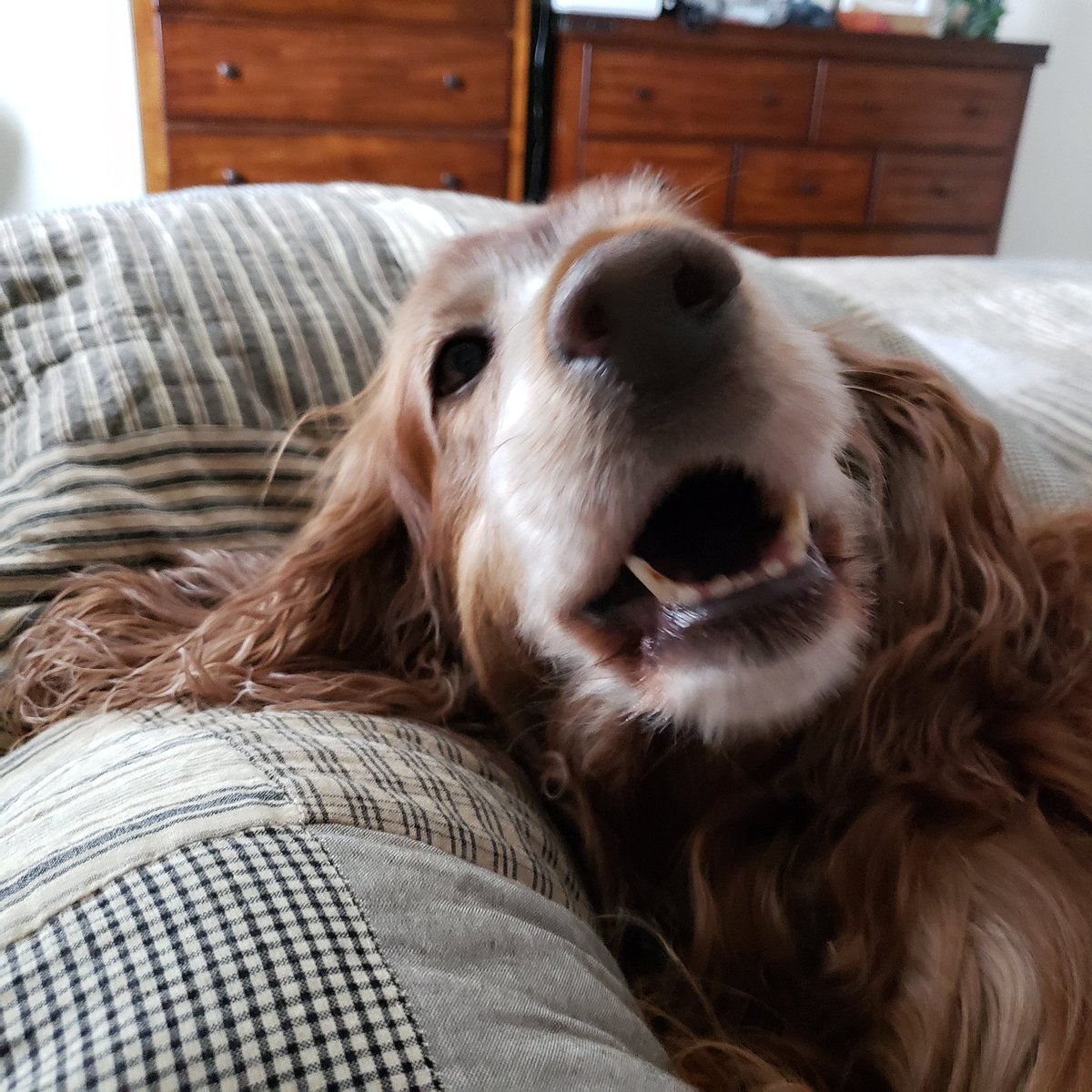 Moscowliving's tweet photo. @romyreiner https://t.co/NBKQz5amS7