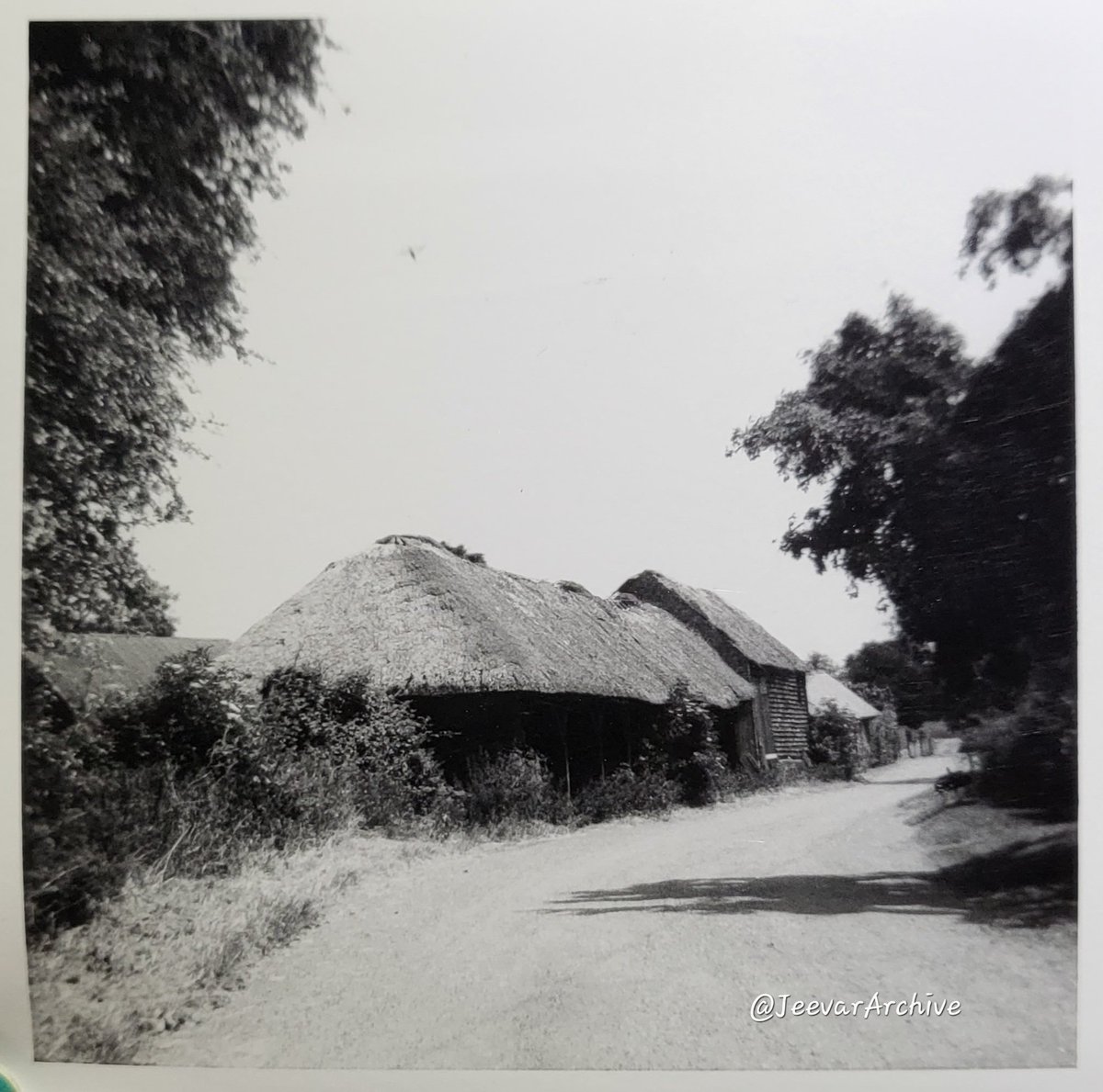 Manor Farm,
Boxworth - Cambridgeshire 
1975

#barn #ruralengland #archives #architecture #Cambridgeshire #historicalpictures #villagelife #jeevararchive #farmbuildings #photoarchive #oldbuilding