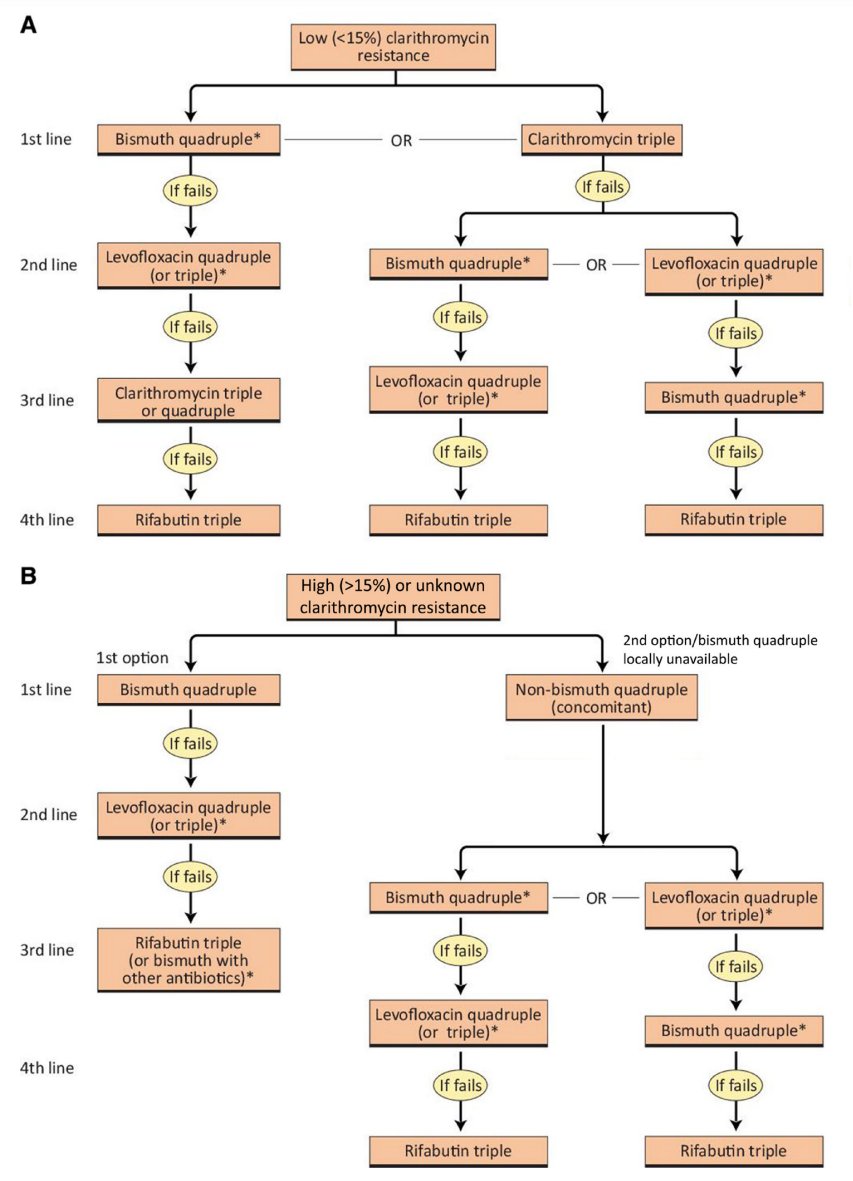 Gut_BMJ's tweet photo. Included (in no particular order) as a #GUTTopPaper chosen by @emadelomar is
"Management of Helicobacter pylori infection: the Maastricht VI/Florence consensus report" via https://t.co/ukzZJZCAw2
#HelicobacterPylori https://t.co/NjPkHv7ytr