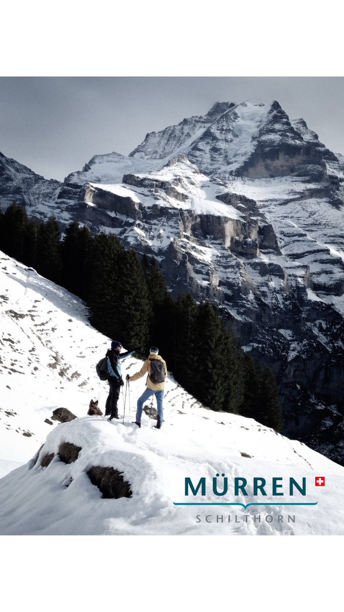 Snowshoes in front of the Jungfrau!! 🇨🇭🏔️
#snowshoesswitzerland
#andrewinthealps