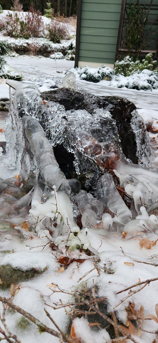 cotatraffic's tweet photo. #Seattle #seattlefreeze #wawx https://t.co/v4XJP3NoNx