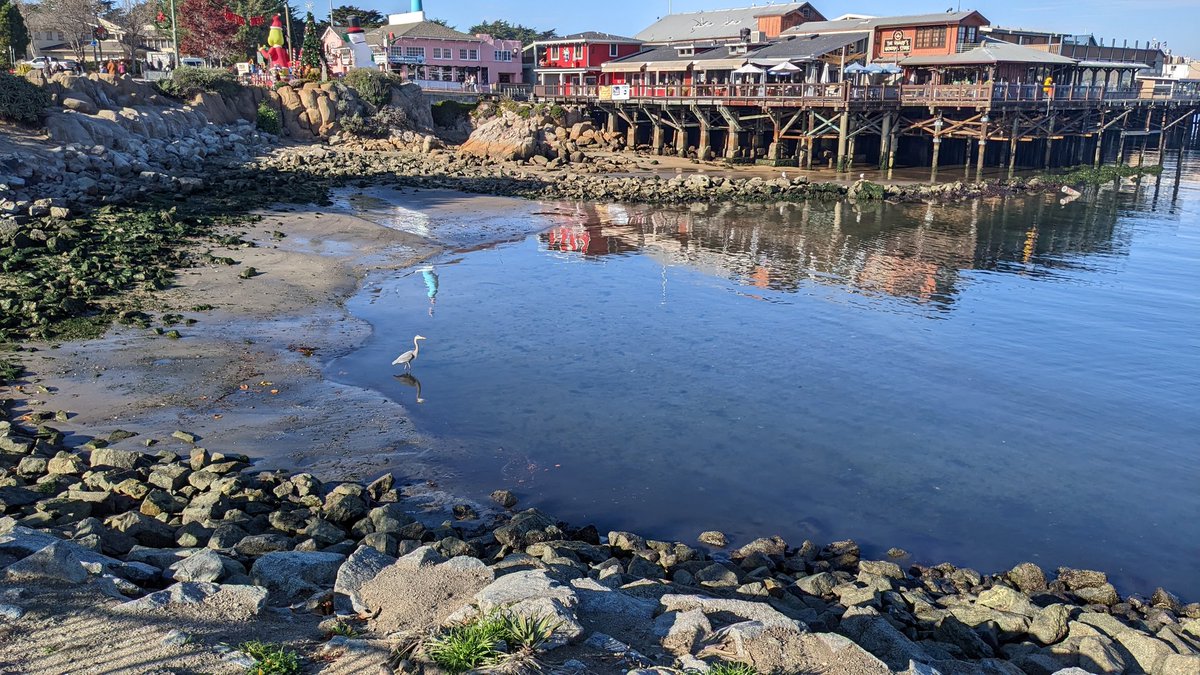 Dann Cianca on Twitter "We had a wonderful afternoon off (together