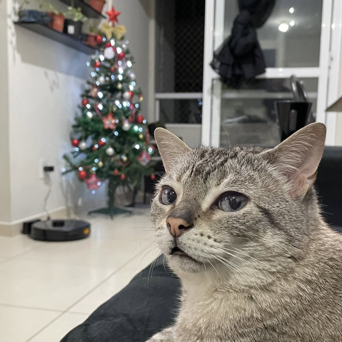 wtfmiu's tweet photo. https://t.co/o30zIv688b