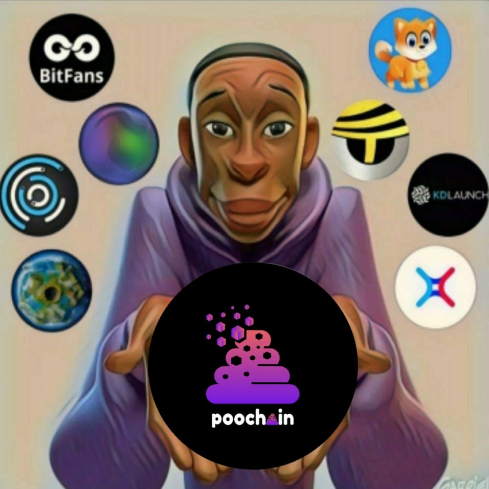 SMordiyah's tweet photo. My meme entry @poo_chain
Check out on poochain the meme blockchain @MrBeast @Cz_Binance @Ralvero
@Poo_chain #PooChain #PooZilla #PooGrow #PooNomics #PooComp #Blockchain #New https://t.co/hIi7Q1yulB