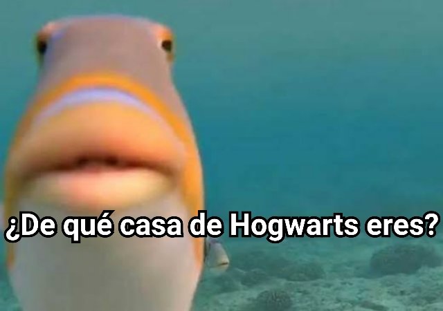 LordVoldemort_S's tweet photo. Cuando alguien me dice que le gusta la saga Harry Potter. https://t.co/5xthtKZbp4