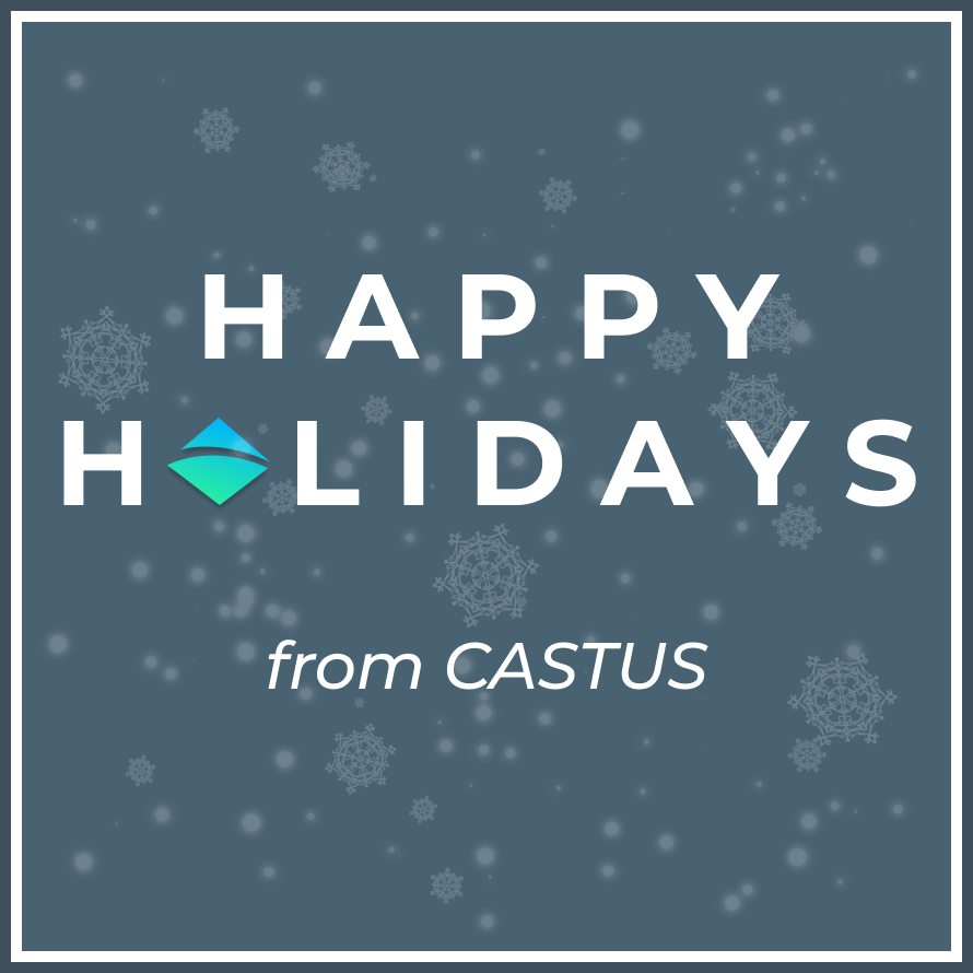 CASTUS Corporation tweet media