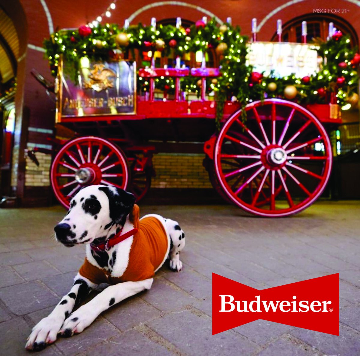 Better Brands tweet media