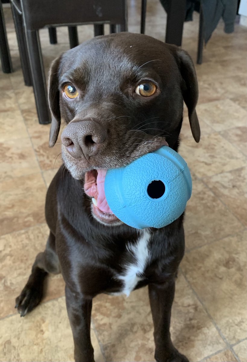 drsmiley90's tweet photo. Sweet baby Henry appreciation tweet. https://t.co/RfvUkHpAYm
