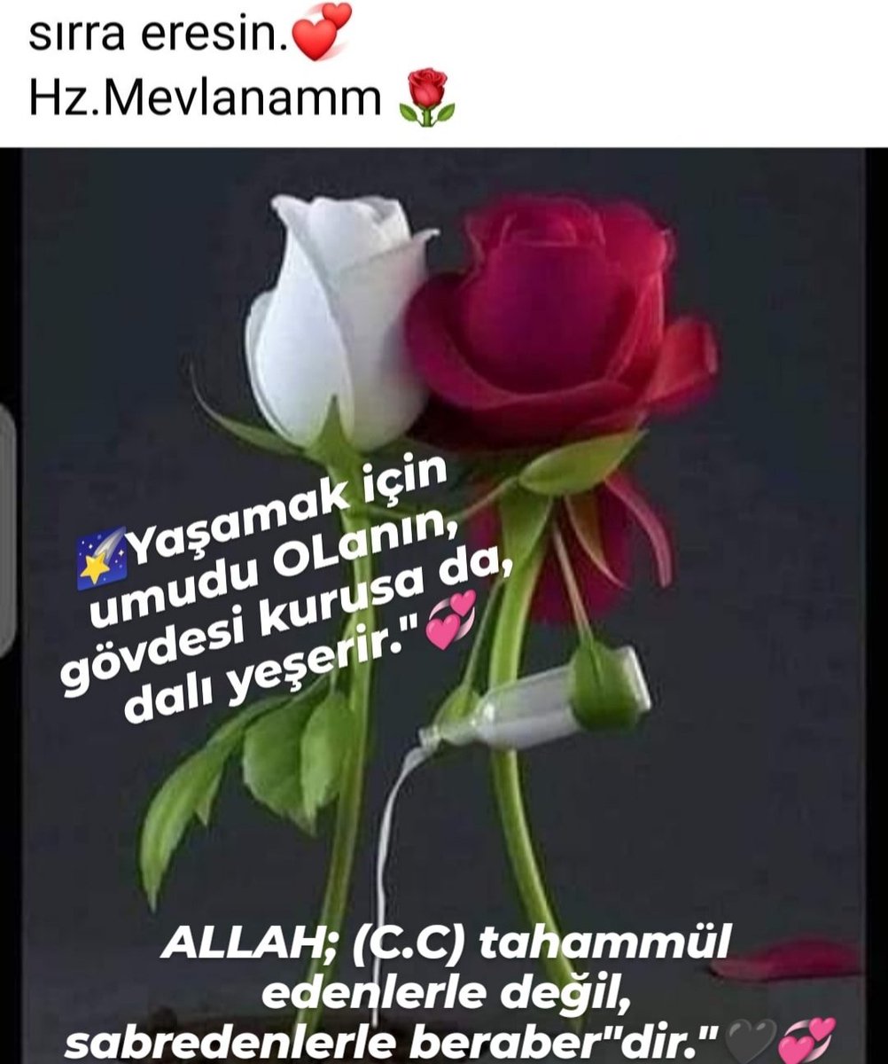 kutlumesut01fb1's tweet photo. 🌠#Şeytana OLan Aşkın kadar Bir çiçeğe Bir böceğe Bir dikene Aşık OLabilseydin Aşkın dinini öğrenir #Nefsin hakikatine erebilir  İlahı Aşkın da;
Aslında Asıl OL'ân  Mümkün ü görüp Aşık OLabilirdin.🌹

Sevgili yâr.🌹

🌠Aşkın sırrı nedir diye sorma! Sırdır söylenmez
Yaşa ki,🌹💞🇹🇷 https://t.co/Xtuipt0Be5