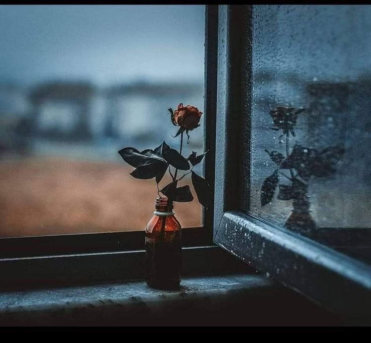 birceylan's tweet photo. Geceyi karanlık bilirdim,
Gönlüne düşmeden evvel. https://t.co/cmeoLI1c2e
