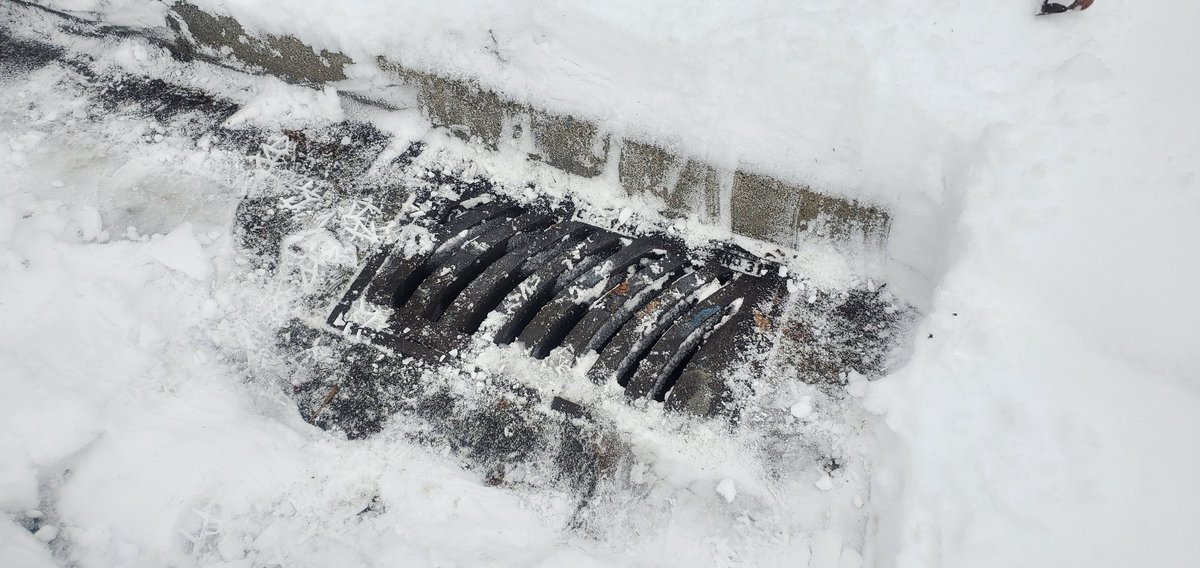 Don't forget to shovel the Storm Drains too. Because they are going to be busier than anything else in Vancouver over the next week... #BCStorm