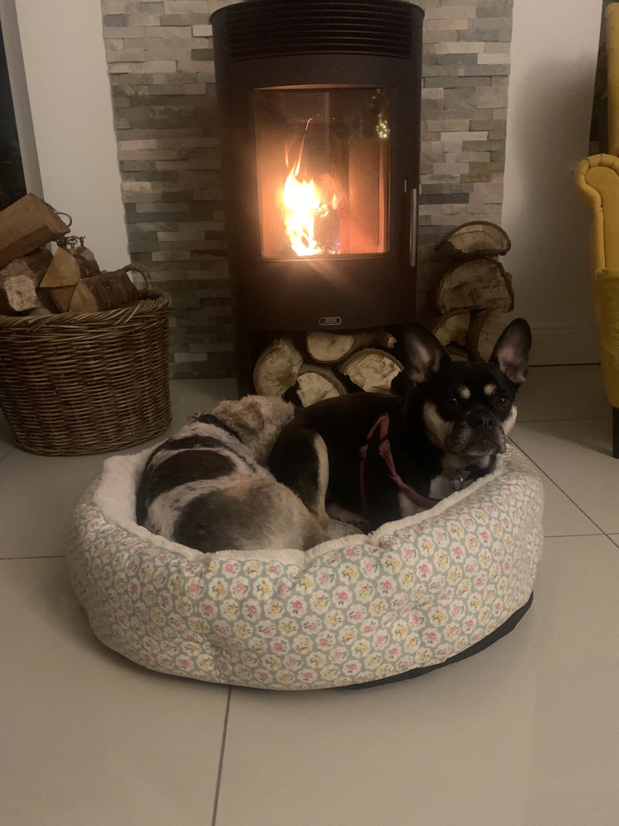 Kevin Humphreys tweet media