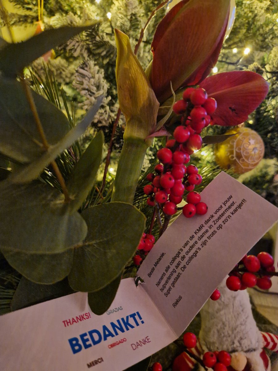 MulletjeMel's tweet photo. Het nut van opleiden, in dit geval EHBO. Zeker voor reservisten die regelmatig bij evenementen aanwezig zijn of zoals in dit geval in eigen tijd.
 #reservist  #reservistkoninklijkemarine #koninklijkemarinereserve @CDT_KMR https://t.co/VJ6452WzCd