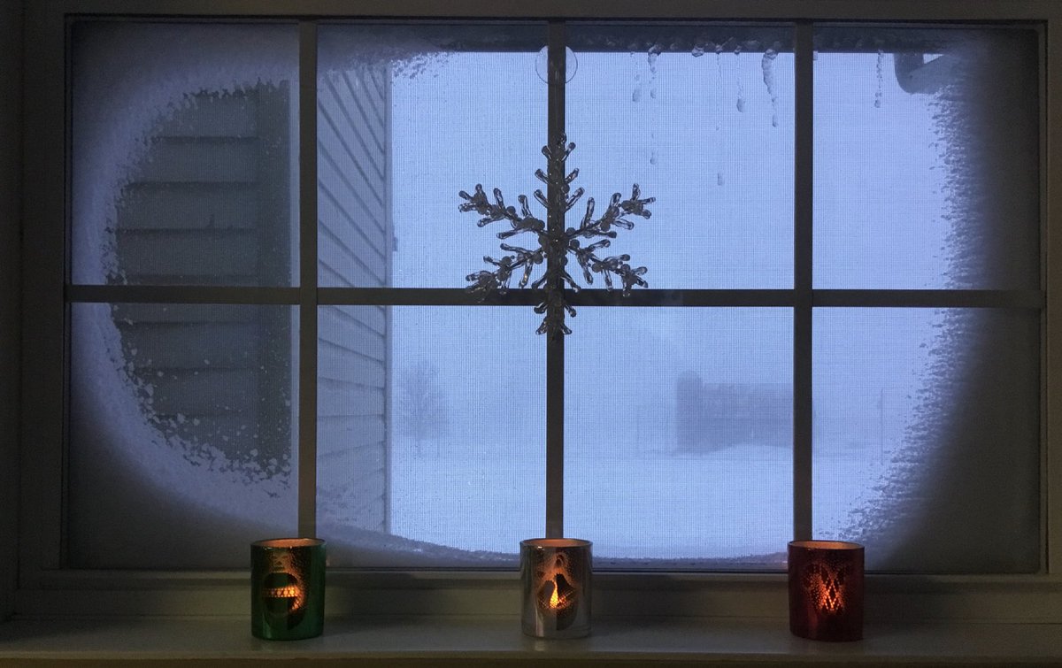 Back_O_the_Moon's tweet photo. Looking out my laundry room window ❄️🌬❄️ #snowstorm https://t.co/IjGeJpDGFj