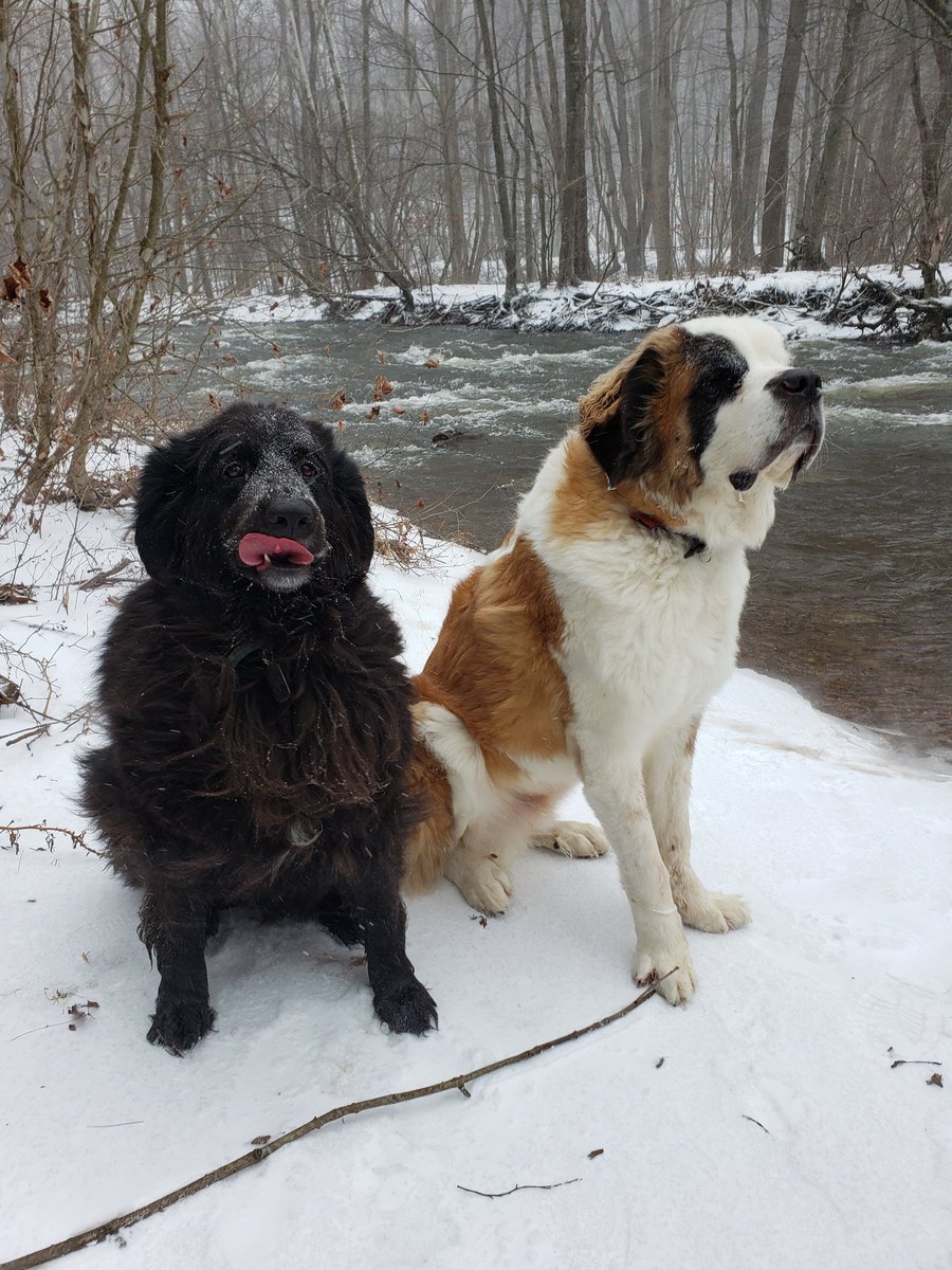 It's "Christmas Eve" Eve. Time to relax and enjoy holiday break. #WinterStorm