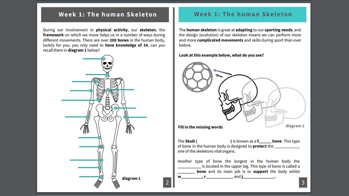 Joints and Movement Homework booklet can be downloaded from shared drive. QR codes linked to videos by <a href="/Planet_PE/">PlanetPE</a> are also included. Well worth a follow on Youtube. #EduPE drive.google.com/drive/folders/…