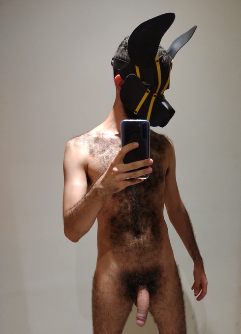 Como t&aacute; a pentelhada de vcs? https://t.co/TjbGPbVL6Y