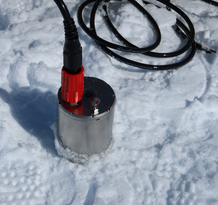 Anya M. Reading tweet media