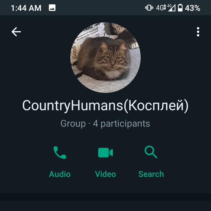 Safy_photographer🔪 (@dark___web) on Twitter photo 