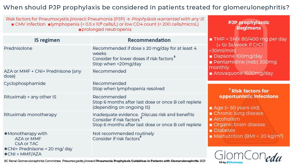 <a href="/nephrosingh/">Manisha</a> <a href="/Ask_Renal/">Ask Renal</a> When should Pneumocystis jirovecii Pneumonia (PJP) prophylaxis be considered in patients being treated for glomerulonephritis from <a href="/GlomCon/">GlomCon</a> <a href="/Dilushiwijay/">Dilushi Wijayaratne</a> #Nephpearls 

👉 pubs.glomcon.org/pneumocystis-j…