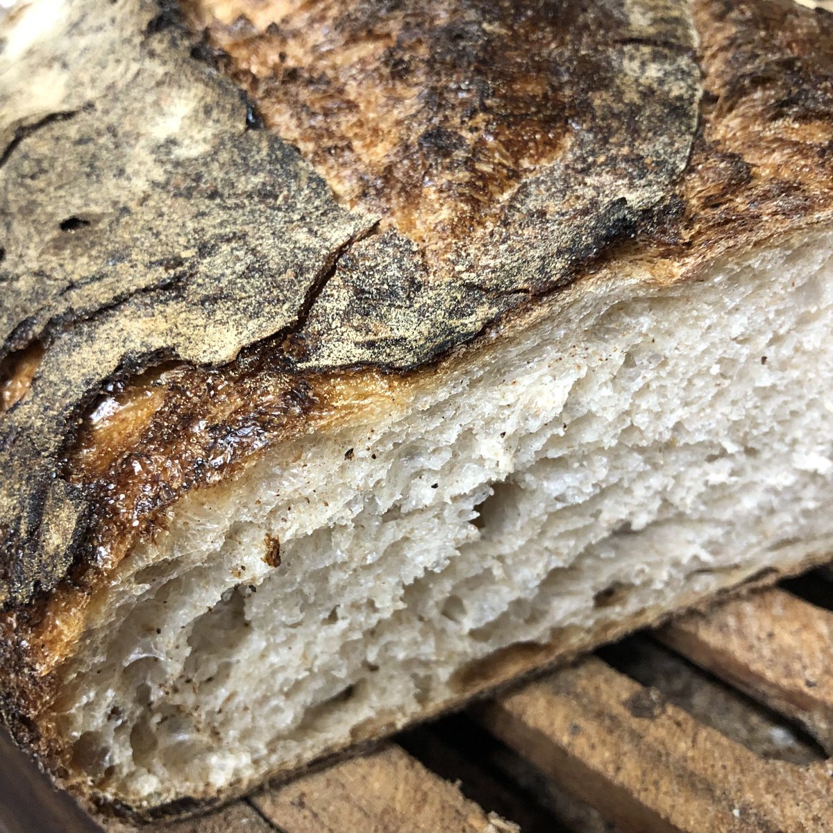 Fresh sourdough arriving tomorrow Christmas Eve, seeded and plain, grab your loaf for the weekend

#realbread #realbreadcampaign #sourdough #loculto #se4 #brockley