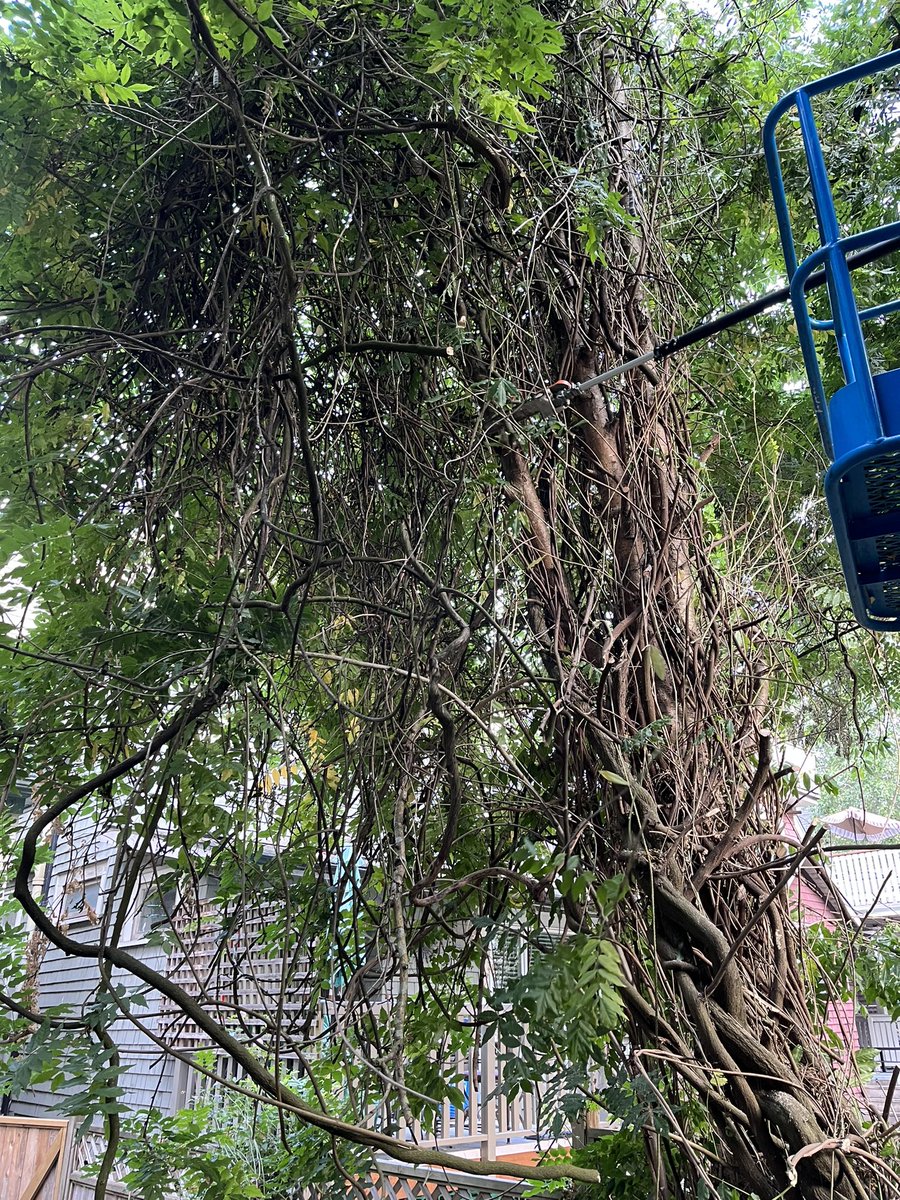 J L Safronick tweet media