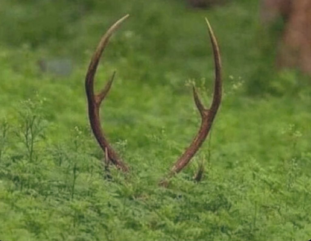 _YES7_'s tweet image. how you go from housewife to a sneaky link 🤔😅🤣 #creepin’ #metroboomin