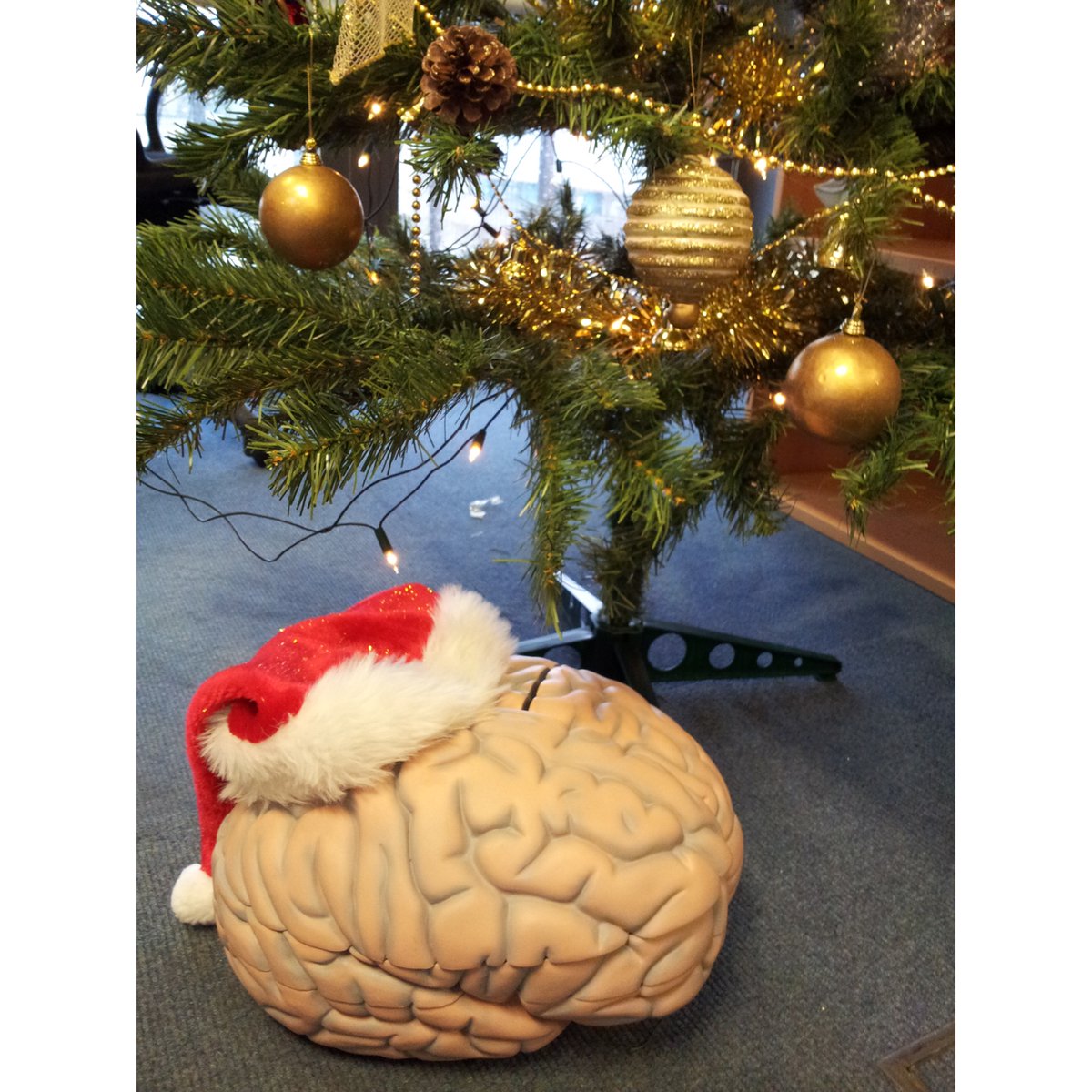 A Christmas Neurology Carol!!!

#MedTwitter #neurotwitter #EndNeurophobia #tweetorials

1/