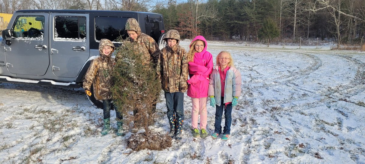 DavisFamilyFarm's tweet photo. Our baby tree we dug up and will replant after Christmas. It's beginning to look a lot like Christmas. https://t.co/HWIpDOOkmp