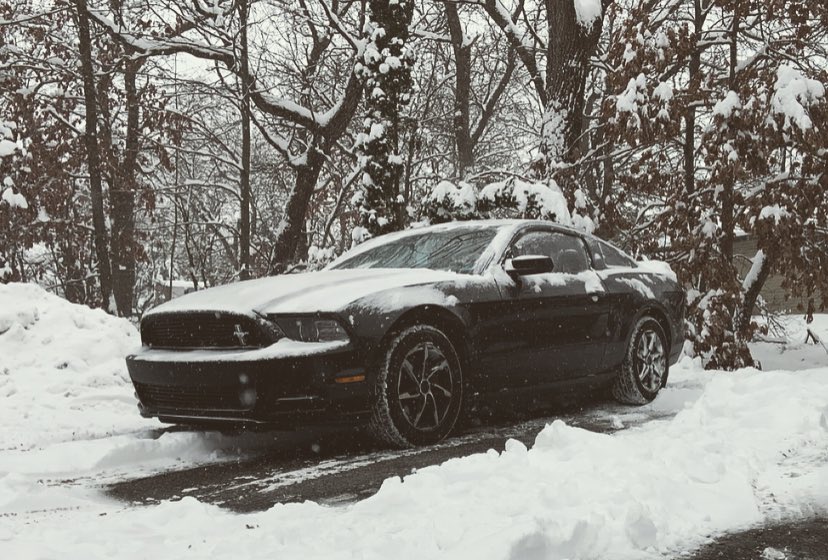 From Florida to Wisconsin, the stang has made it through it all