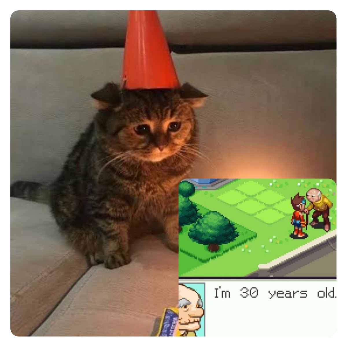 Birthday