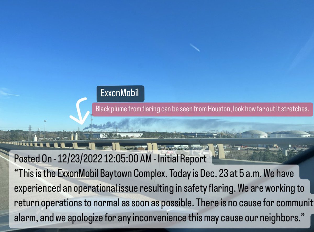 t.e.j.a.s. tweet media