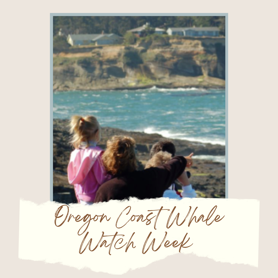 leatherprosinc's tweet photo. Oregon wale watching week starts December 28th! People come from all over the world to learn about the Gray whales that travel along the Oregon coast each year. 

In the winter we watch nearly 18,000 gray whales from mid-December through mid-January as they travel south to the wa https://t.co/cNB5aNGjsx