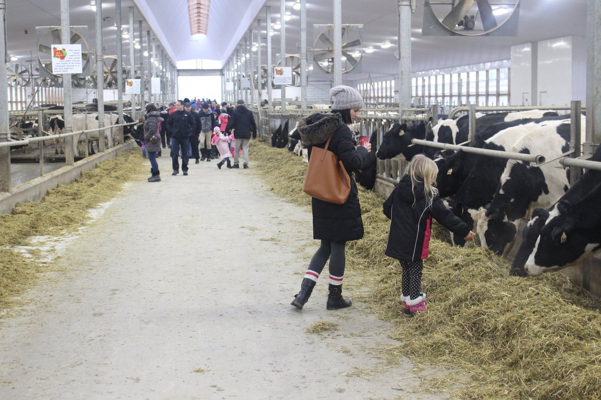 benloewith's tweet image. It&apos;s back!  The Hamilton Dairy Farmers Open House is Tuesday December 27th. 12 noon to 3pm. See the calves!  Eat some poutine! Drink some hot chocolate with real whipped cream!  And most importantly, learn how your food is made. 1399 Powerline Rd West