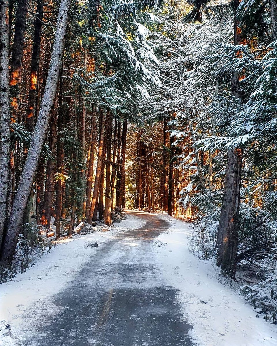 EnjoyLangGdlSur's tweet photo. 📸 @ekerothvisuals
#winterwonderland #whistler #canada #livelovecanada🇨🇦 https://t.co/20FHg3aiLw